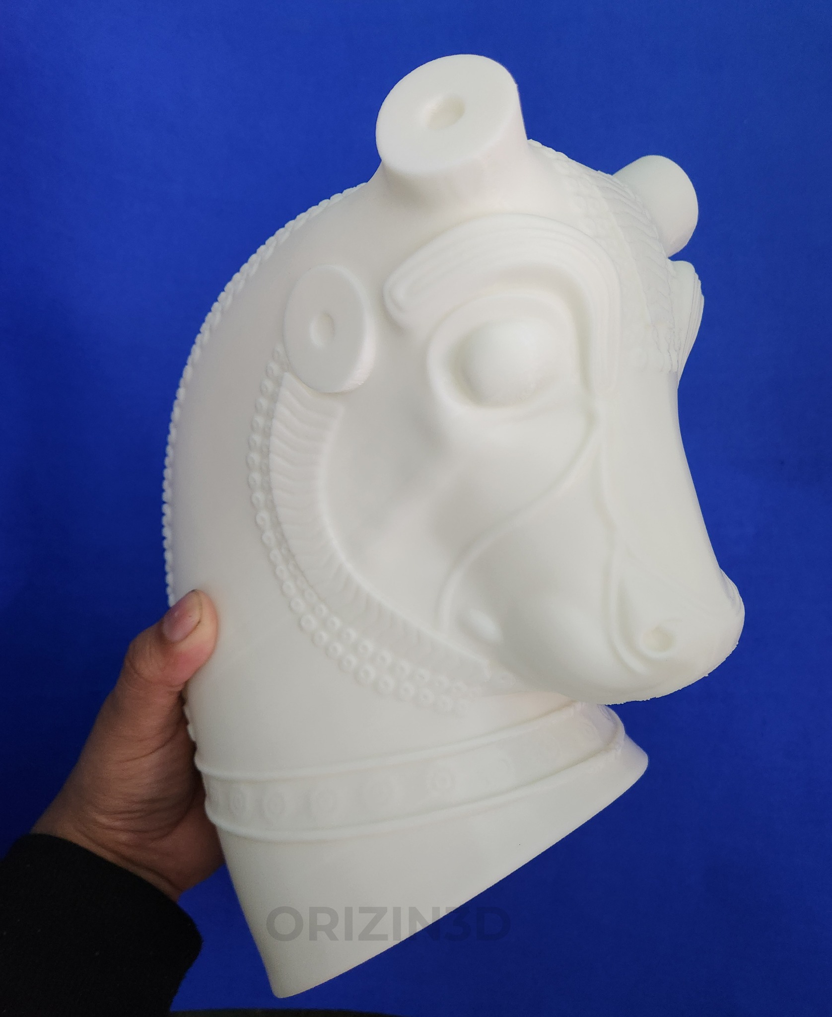 Horse Head Display Model